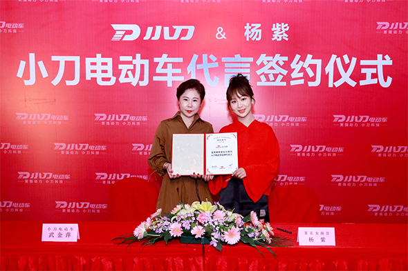 楊紫代言的品牌小刀電動車