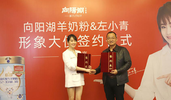 左小青代言的品牌向陽湖羊奶粉