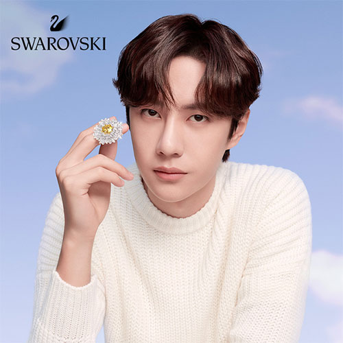 王一博代言的品牌施華洛世奇